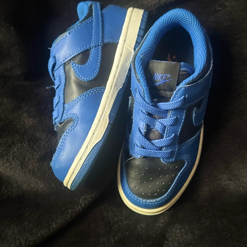 Nike Dunk Low Kids Sneakers in Blue and Black